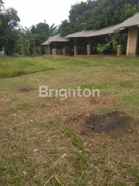 image DIJUAL PERUSAHAAN PETERNAKAN SAPI IMPOR BERIKUT DENGAN PERIJINANYA (7)