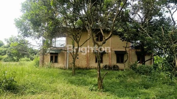 image DIJUAL PERUSAHAAN PETERNAKAN SAPI IMPOR BERIKUT DENGAN PERIJINANYA (8)