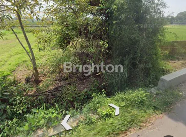 image TANAH KAVLING VIEW GUNUNG MERAPI (3)