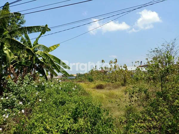 image TANAH STRATEGIS DI SELOAJI, DEKAT TERMINAL (2)