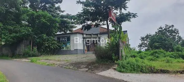 image *BEST PRICE, BEST LOCATION, BEST EVERTYHING ONLY AT BES VILLA, TEMUKUS (LOVINA).*\\N\\N\\NLUAS TANAH : 1400 M²\\NLUAS BANGUNAN 600M2\\N\\NTERDIRI DARI 7 BUNGALOW :\\N\\NSINGLE ROOM UKURAN 3 X 5 M2\\N  ADA 2 KAMAR\\N\\N DELUXE ROOM UKURAN 3X6 M²  \\N  ADA  (5)