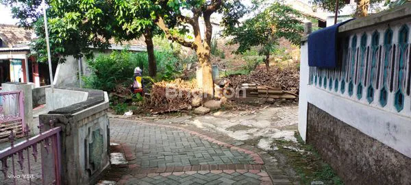 image TANAH PEKARANGAN STRATEGIS  (2)