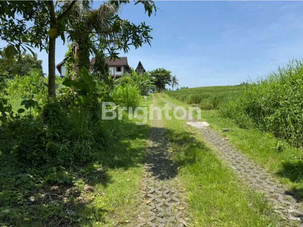 image DIJUAL TANAH STRATEGIS DI DEKAT JL. PANTAI NYANYI – TABANAN\N (1)