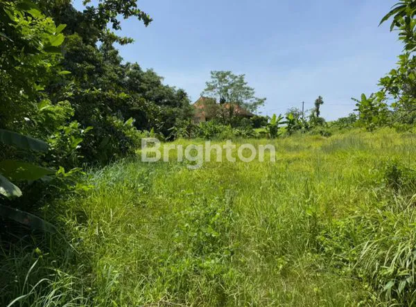 image DIJUAL TANAH STRATEGIS DI DEKAT JL. PANTAI NYANYI – TABANAN\N (2)