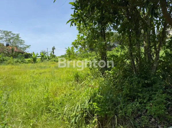image DIJUAL TANAH STRATEGIS DI DEKAT JL. PANTAI NYANYI – TABANAN\N (3)