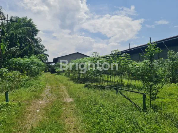 image DIJUAL CEPAT BANGUNAN & TANAH  LUAS TANAH 11.590 M2 LUAS BANGUNAN 4.000 M2 (7)