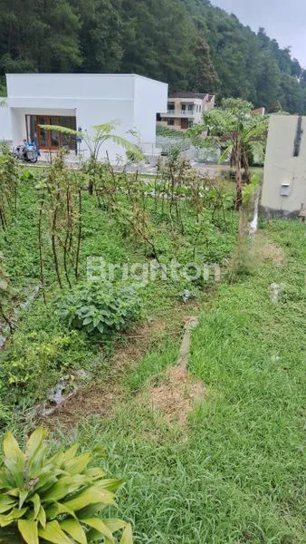 image TANAH LUAS 592M² DI TAWANGMANGU (1)