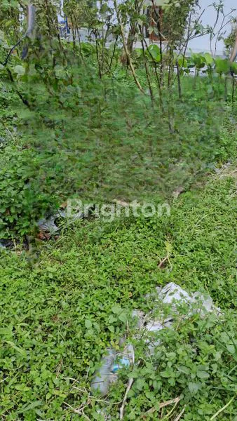 image TANAH LUAS 592M² DI TAWANGMANGU (5)