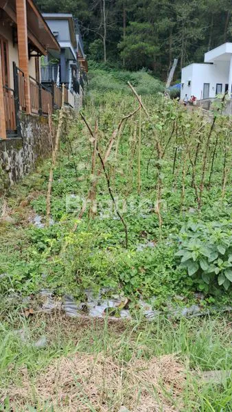 image TANAH LUAS 592M² DI TAWANGMANGU (6)