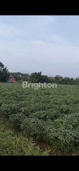image TANAH SUPER LUAS 15.000 M² DI TONJONG BOJONG GEDE, COCOK UNTUK PERUMAHAN ATAU INVESTASI BESAR,BEBAS BANJIR (1)