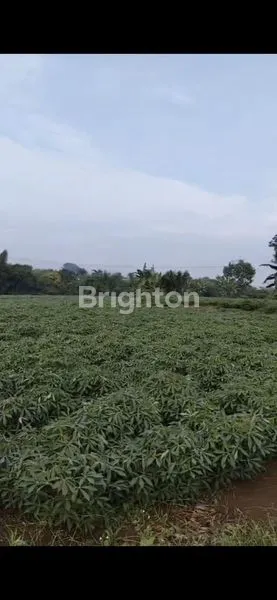 image TANAH SUPER LUAS 15.000 M² DI TONJONG BOJONG GEDE, COCOK UNTUK PERUMAHAN ATAU INVESTASI BESAR,BEBAS BANJIR (3)