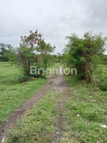 image TANAH DI WISATA PANTAI SIYUT (5)