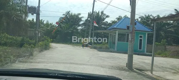 image LAHAN KELAPA SAWIT 2 HEKTAR DI LOKASI STRATEGI  (5)