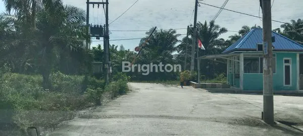 image LAHAN KELAPA SAWIT 2 HEKTAR DI LOKASI STRATEGI  (4)