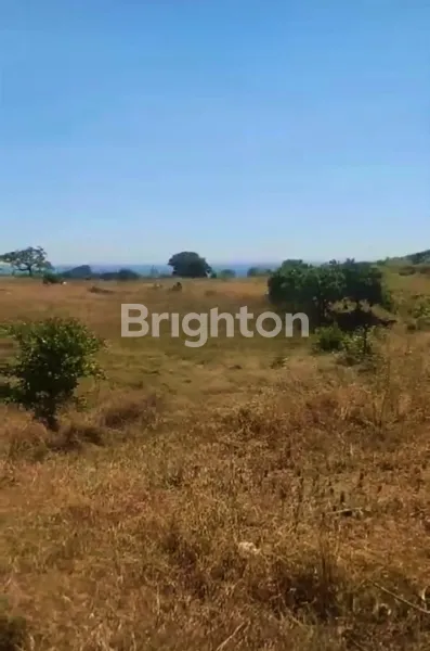 JUAL TANAH 7 HEKTAR VIEW LAUT LOLOAN BAYAN LOMBOK UTARA NUSA TENGGARA BARAT