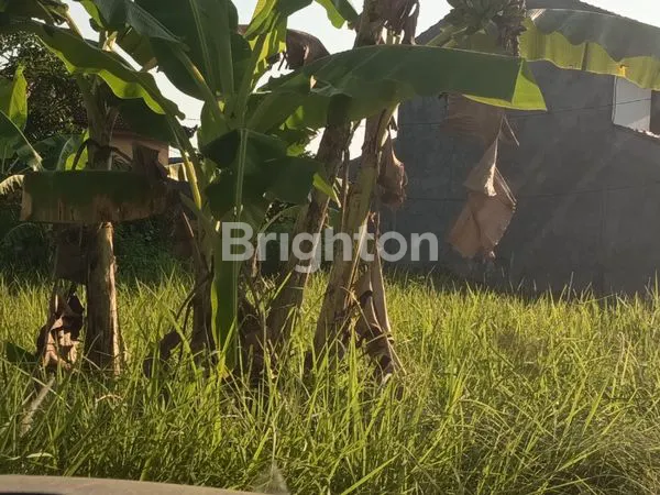 image TANAH DI PERING (3)