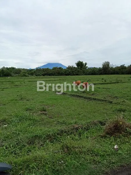 image INVESTASI TANAH PREMIUM VIEW GUNUNG & LAUT (1)