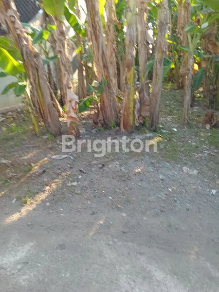 image TANAH  SIAP BANGUN DI WARU GENTAN (1)