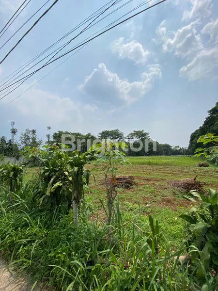 image TANAH DATAR SIAP UNTUK INVESTASI (2)