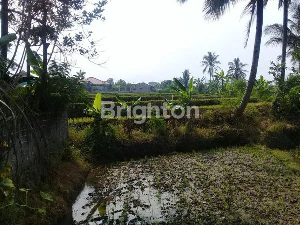 image RUMAH & SAWAH VIEW GUNUNG GEDE CIANJUR (4)