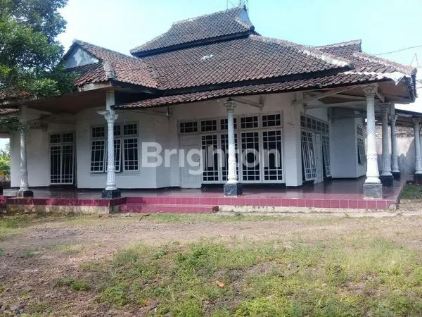 image RUMAH & SAWAH VIEW GUNUNG GEDE CIANJUR (1)