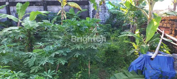 image TANAH PRIMA DI PUSAT KOTA DENPASAR – DEPAN LIVING WORLD MALL (4)