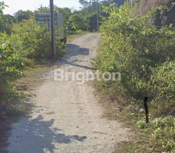 image TANAH VILLA PREMIUM 2 ARE – JIMBARAN HANYA 850 JUTA (5)