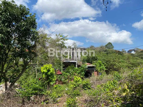 image TANAH VILLA PREMIUM 2 ARE – JIMBARAN HANYA 850 JUTA (4)