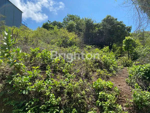 image TANAH VILLA PREMIUM 2 ARE – JIMBARAN HANYA 850 JUTA (8)