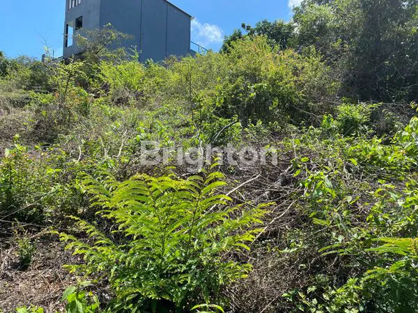 image TANAH VILLA PREMIUM 2 ARE – JIMBARAN HANYA 850 JUTA (3)