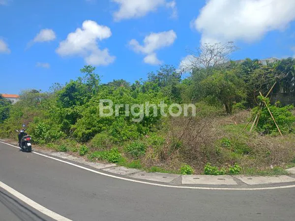 image TANAH STRATEGIS DIJUAL DI JL. DUKUH SARI, BENOA – HADAP BARAT (3)