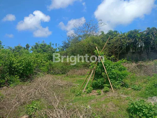 image TANAH STRATEGIS DIJUAL DI JL. DUKUH SARI, BENOA – HADAP BARAT (2)