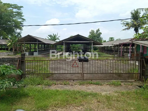 image TANAH DAN TEMPAT USAHA DI LAMPUNG (6)