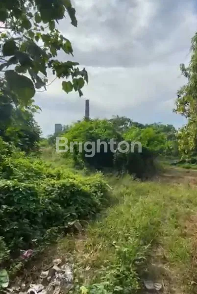 image TANAH SIAP BANGUN 5,3 HA LOKASI PREMIUM (1)