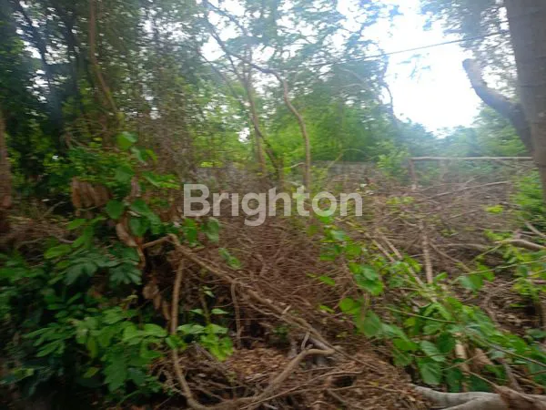 image TANAH STRATEGIS DIJUAL DI BENOA – ZONA KUNING, HADAP UTARA (2)