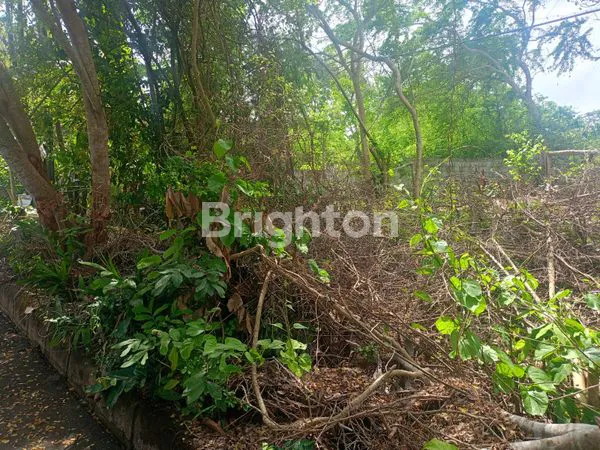 image TANAH STRATEGIS DIJUAL DI BENOA – ZONA KUNING, HADAP UTARA (4)