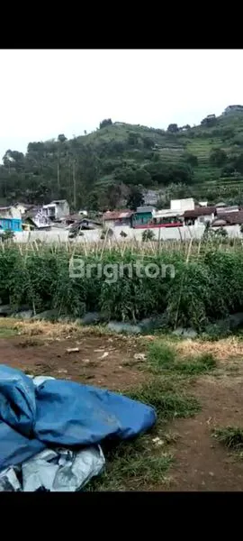 image TANAH MAINROAD LEMBANG 1 HEKTAR STRATEGIS BANGUN BISNIS VIEW CANTIK  (3)