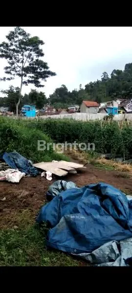 image TANAH MAINROAD LEMBANG 1 HEKTAR STRATEGIS BANGUN BISNIS VIEW CANTIK  (7)