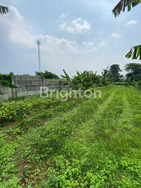 image LAHAN 525 METER DI BOGOR UNTUK INVESTASI (4)