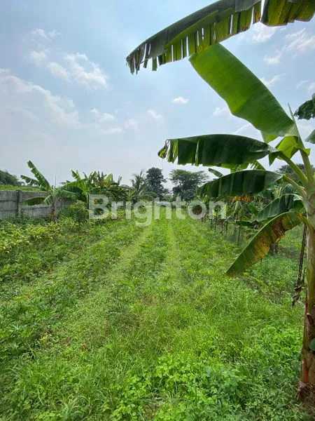 image LAHAN 525 METER DI BOGOR UNTUK INVESTASI (3)