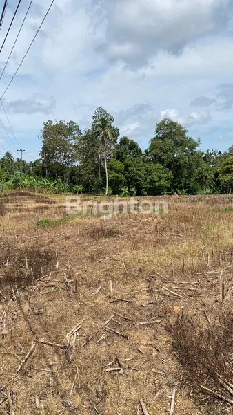 image LAHAN PREMIUM SELUAS 5 HA DI BANDAR DALAM, SIDOMULYO, LAMPUNG SELATAN (1)