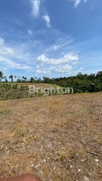 image LAHAN PREMIUM SELUAS 5 HA DI BANDAR DALAM, SIDOMULYO, LAMPUNG SELATAN (7)