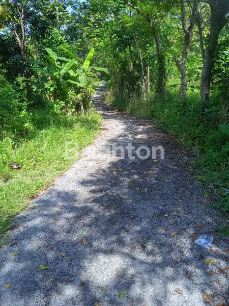 image LAHAN STRATEGIS & PRODUKTIF DI KARANGPAPAK, SUKABUMI (2)