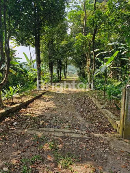 JUAL TANAH CIMELATI BOGOR