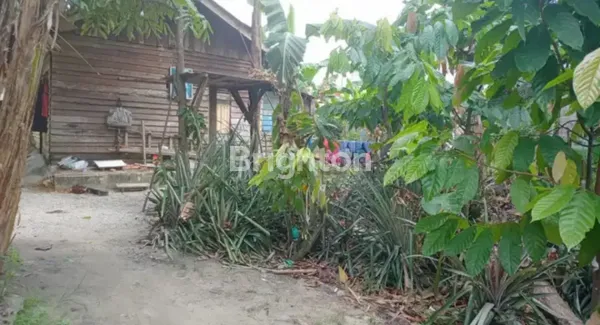 image DIJUAL TANAH SKGR SIAP BANGUN DI JL. BAMBU KUNING, TENAYAN RAYA, PEKANBARU (2)