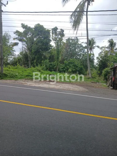 image TANAH 18,95 ARE  PINGGIR JALAN RAYA DENPASAR - GILIMANUK ,ANTOSARI  (4)