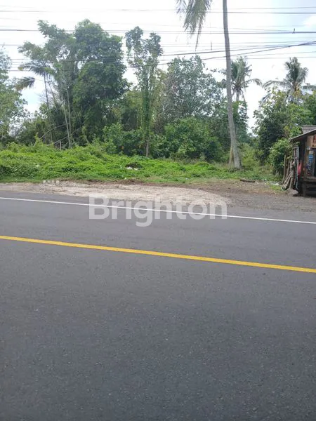 image TANAH 18,95 ARE  PINGGIR JALAN RAYA DENPASAR - GILIMANUK ,ANTOSARI  (3)