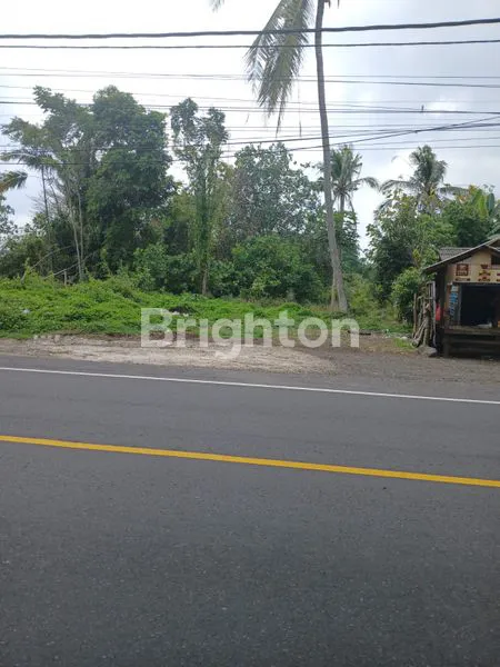 TANAH 18,95 ARE  PINGGIR JALAN RAYA DENPASAR - GILIMANUK ,ANTOSARI