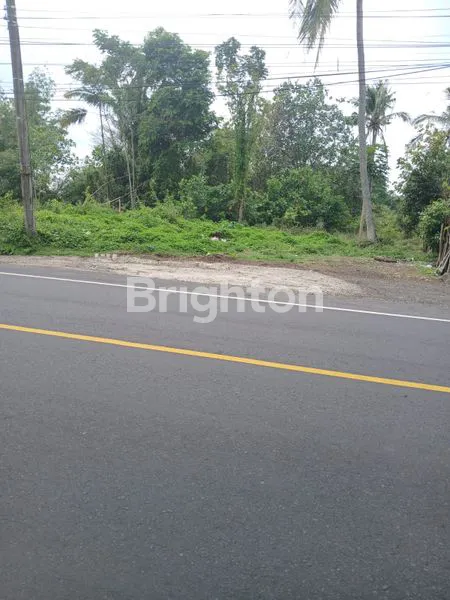 image TANAH 18,95 ARE  PINGGIR JALAN RAYA DENPASAR - GILIMANUK ,ANTOSARI  (2)
