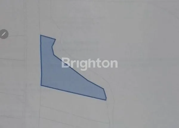 image TANAH 18,95 ARE  PINGGIR JALAN RAYA DENPASAR - GILIMANUK ,ANTOSARI  (6)